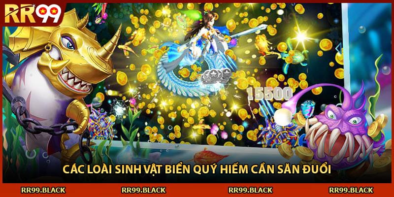 Các loài sinh vật biển quý hiếm cần săn đuổi